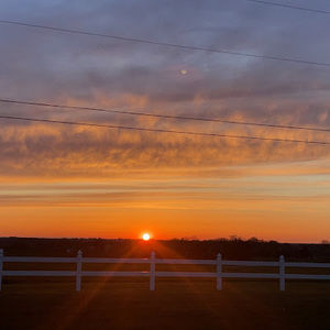 Meet your Posher, Lauryn